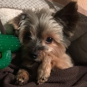 Meet your Posher, Katy